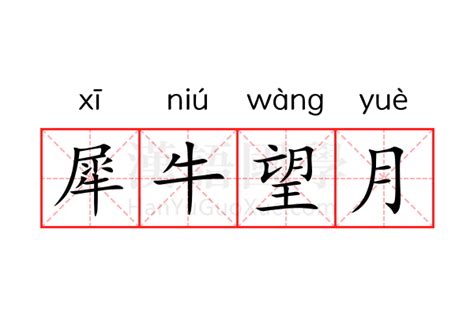 犀牛望月感情|犀牛望月的寓意？